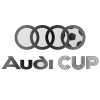 Coppa Audi